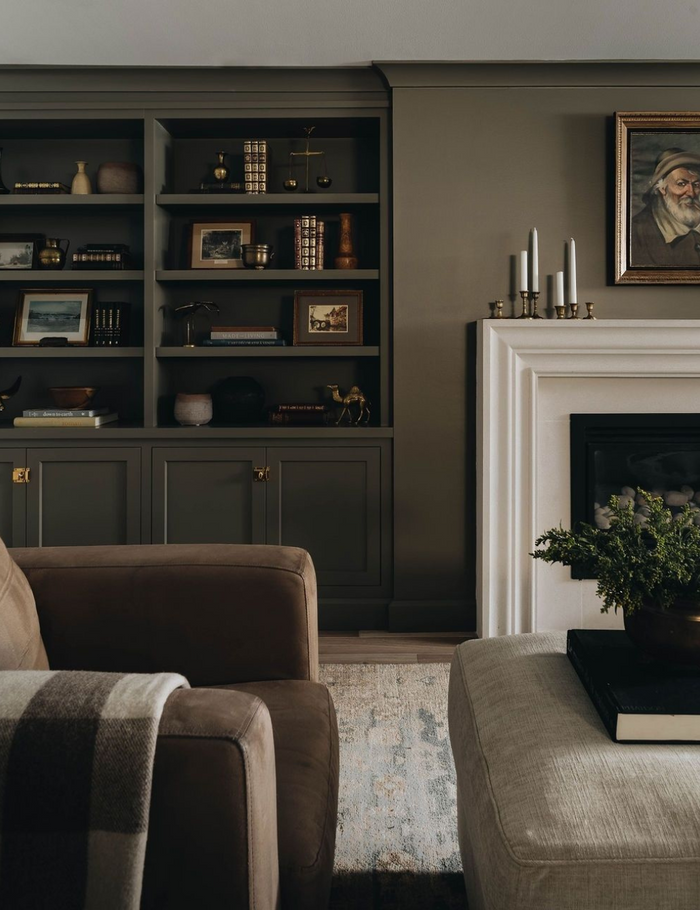 Brown colour drenched living room